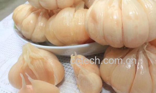 糖蒜如何腌制 正宗糖蒜的腌制方法-1