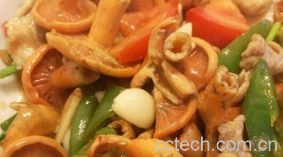 紫花菌的功效与作用-1