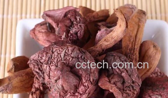 什么是肉蘑 肉蘑的食用方法-1