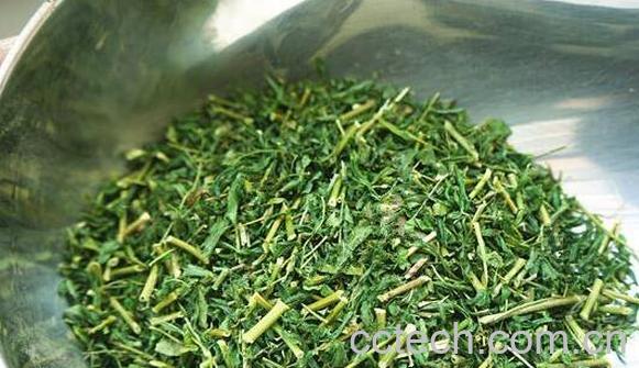 刺老芽的功效与作用-0