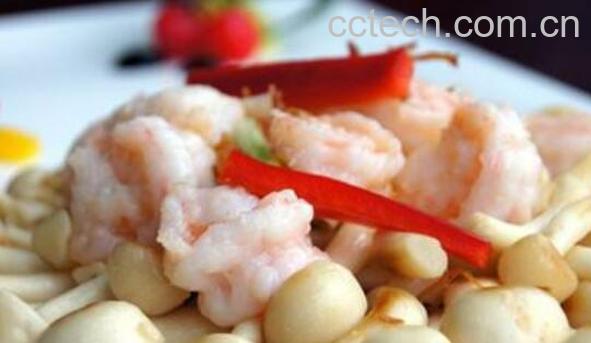 白灵菇不能与什么吃 吃白灵菇的禁忌-0