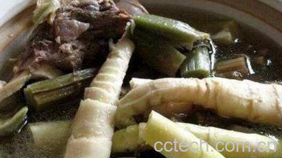 苦笋的功效与作用 苦笋的禁忌-1