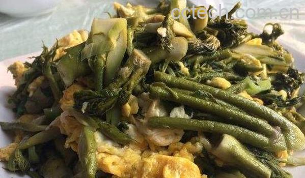 苦乐芽的作用与功效-0