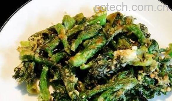 刺老芽怎么吃 刺老芽的家常做法-0