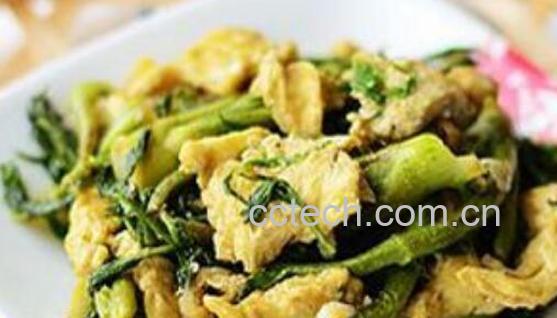 刺老芽怎么吃 刺老芽的家常做法-1