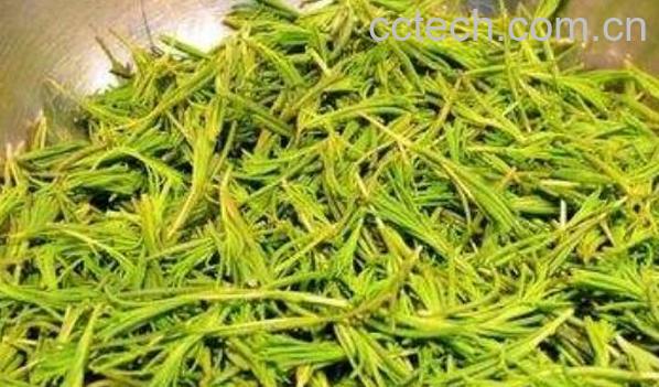 海蓬菜什么人不宜多吃 海蓬菜的禁忌-1