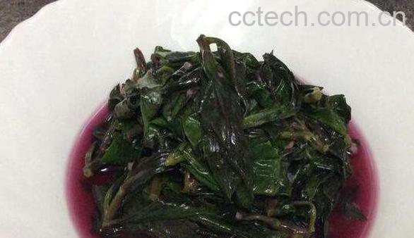 红凤菜怎么吃 红凤菜怎么做好吃-1