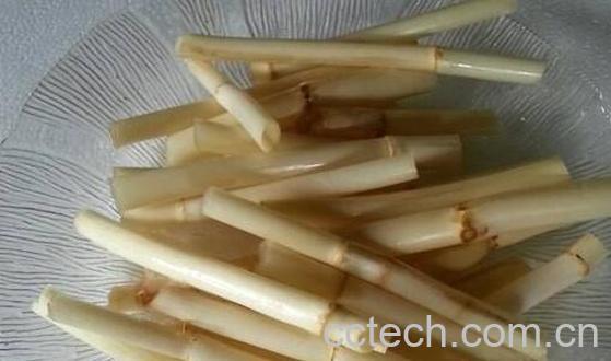 芦根水的功效与作用-1