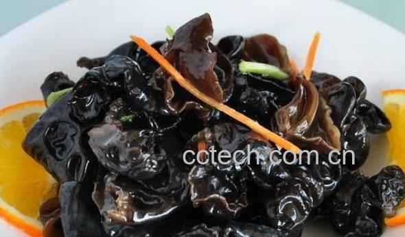木耳菌怎么吃 木耳菌的食用方法-1