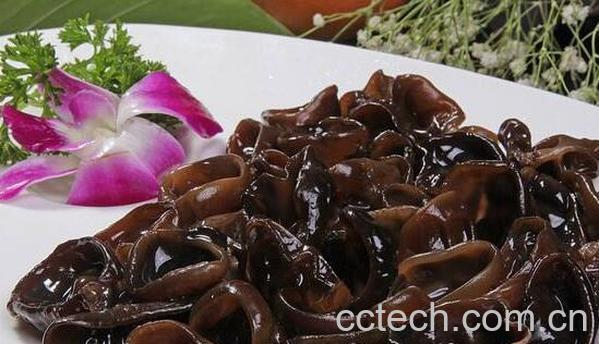 木耳菌怎么吃 木耳菌的食用方法-0