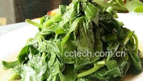 救心菜怎么吃 救心菜的食用方法-1