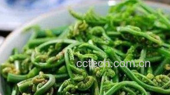 吃水蕨菜有什么好处 水蕨菜有致癌物吗-0