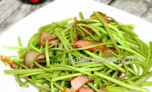 泥蒿怎么做好吃 泥蒿的常见做法-1