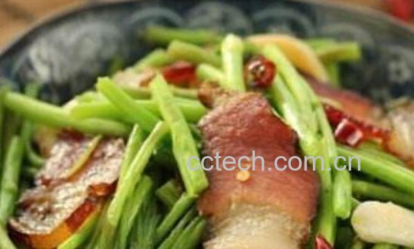 泥蒿怎么做好吃 泥蒿的常见做法-0