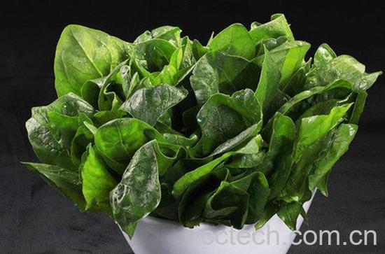 菠菜-0