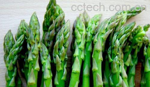 芦笋-1