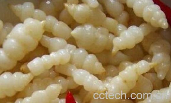 地笋怎么吃 地笋的食用方法-1