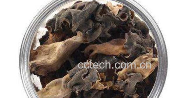 巴楚蘑菇的功效和作用-1