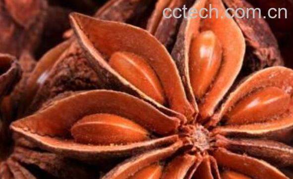 大茴香籽和小茴香籽的区别-1