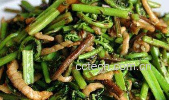 野鸡膀子菜怎么做好吃 野鸡膀子菜的食用方法-1