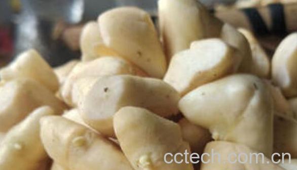 菱角米的功效与作用-0