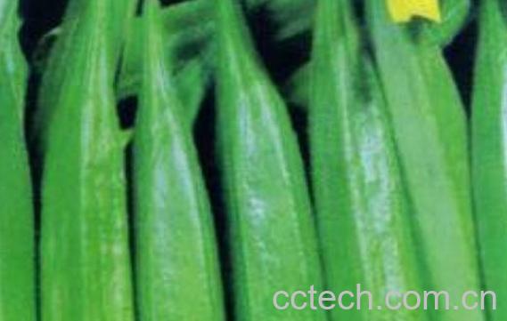 男人吃秋葵有什么好处与坏处-0