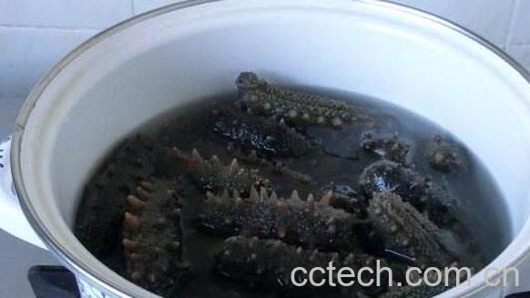 海参如何泡发 干海参泡发的正确方法-0