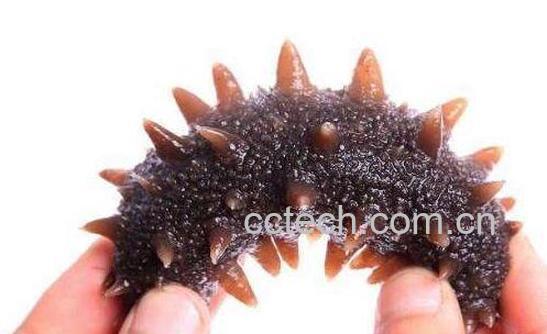 海参如何泡发 干海参泡发的正确方法-1