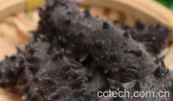 干海参怎么食用 干海参的食用方法-0