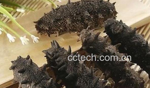 干海参怎么食用 干海参的食用方法-1