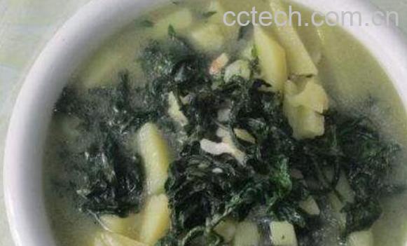 苦乐芽的作用功效-1