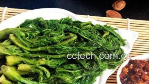刺老芽怎么吃 刺老芽家常做法-0