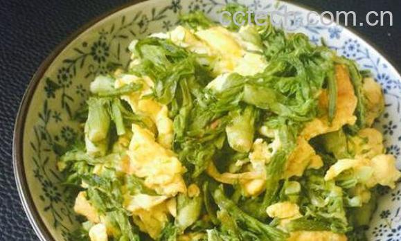 刺老芽怎么吃 刺老芽家常做法-1