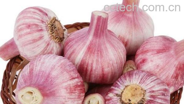 大蒜头的功效与作用-1