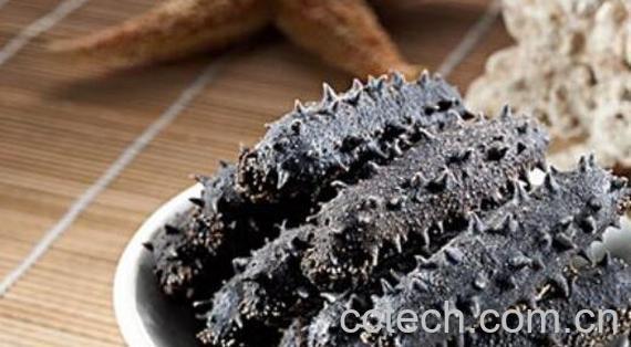 家庭如何泡发干海参 家庭发海参的正确方法-0