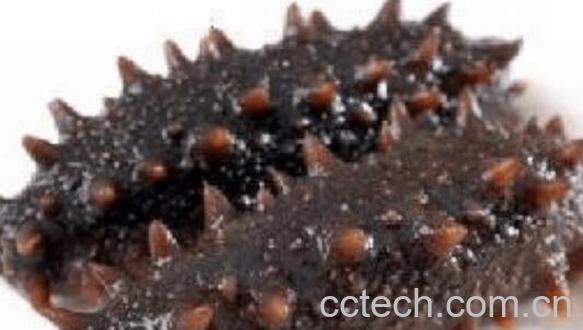 家庭如何泡发干海参 家庭发海参的正确方法-1