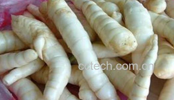 东京薯丸的功效和作用-0