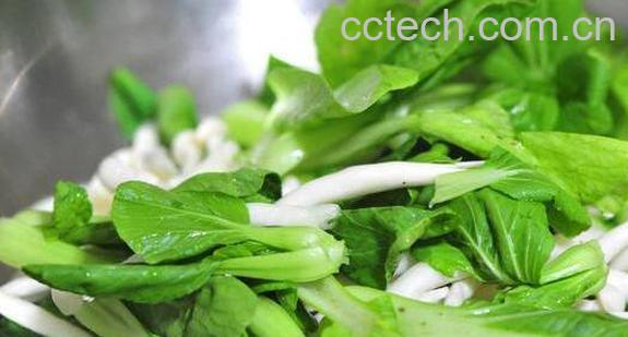 金鸡毛菜怎么吃 金鸡毛菜的食用方法-0