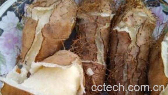 毛薯怎么做好吃 毛薯的食用方法-1