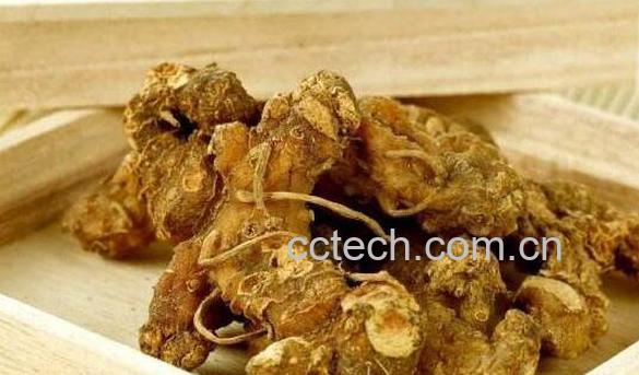 野山姜是什么 野山姜泡脚有什么功效-0