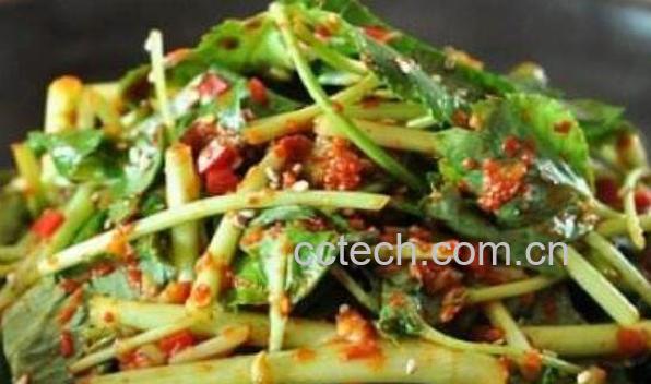 茴芹怎么吃 茴芹的吃法大全-0