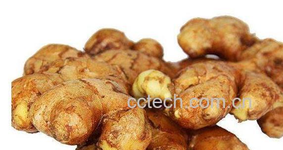 小黄姜有什么作用 小黄姜的功效与作用-0