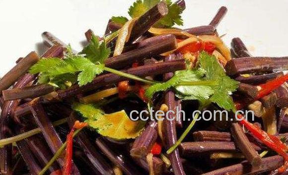山蕨菜怎么储藏 山蕨菜的功效-1