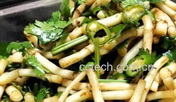 蕺菜怎么吃 蕺菜的食用方法-0