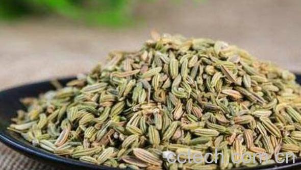 茴香籽怎么吃 茴香籽的食用方法-1
