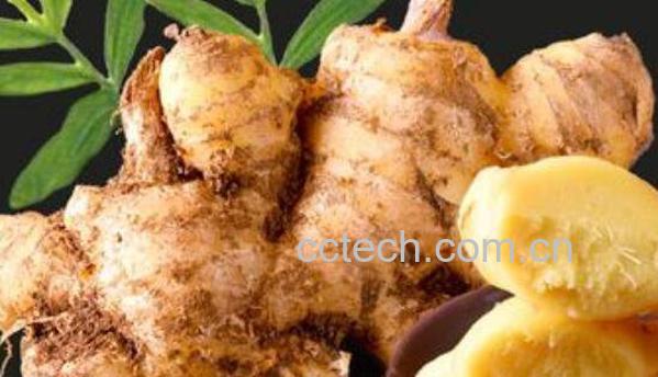 小黄姜跟普通姜的区别 小黄姜的禁忌-0