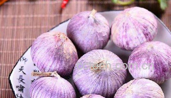 紫皮大蒜的功效与作用-0