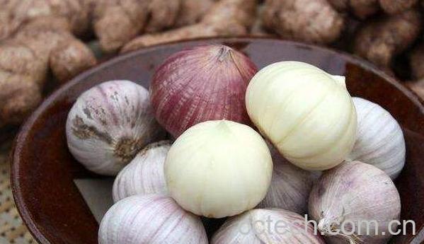 独头蒜泡醋有什么功效-0