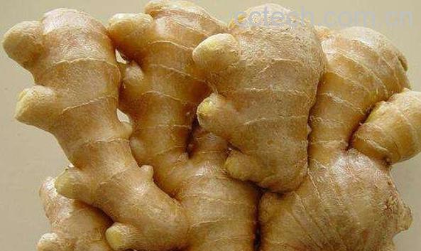 山明姜的功效与作用 山明姜的禁忌-0