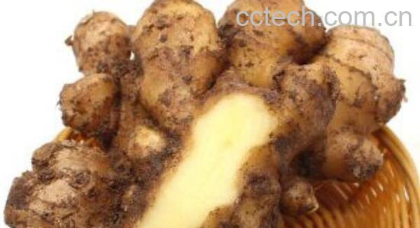 怀姜的功效与作用 怀姜的禁忌-0